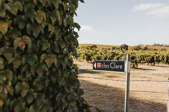 The Florita Wine Tasting Experience - An In-Depth Look at the Florita Wine Tasting Experience