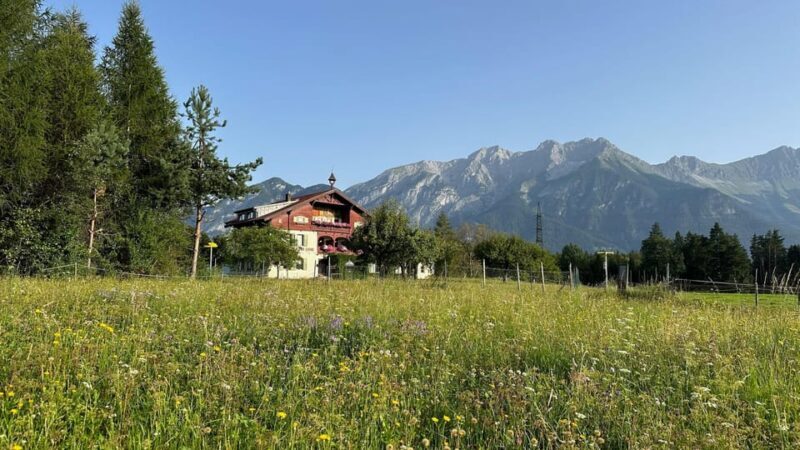 The forest as an Escape Room for the whole family - The Bottom Line