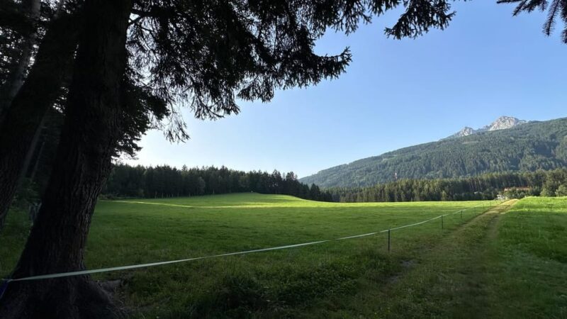 The forest as an Escape Room for the whole family - FAQ