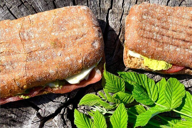 The Forest Tower and Forgotten Giants-A day tour from Copenhagen - Final Thoughts