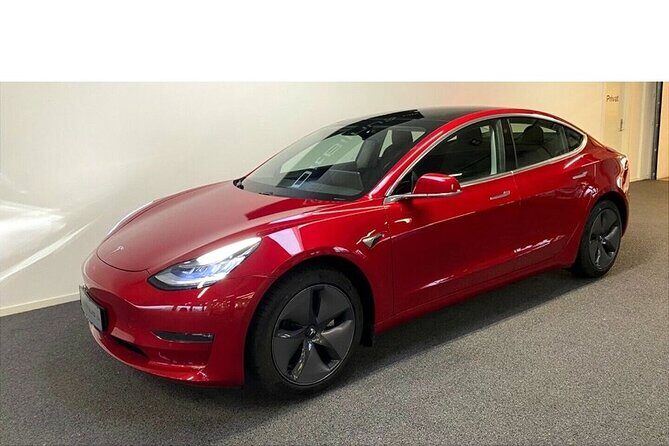 The Forgotten Giants Private Tour - Why This Tour Offers Great Value