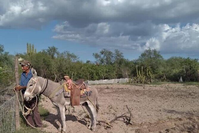 The forgotten minning towns of Baja Sur - Who Will Love This Tour?