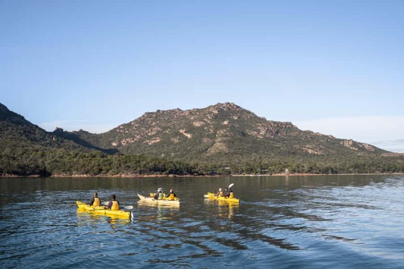 The Freycinet Paddle Kayak Tour - An In-Depth Look at the Freycinet Paddle Kayak Tour