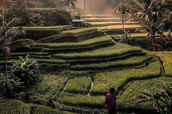 The Gates of Heavan - Ubud Jungle Swing & Waterfall Tour - FAQs