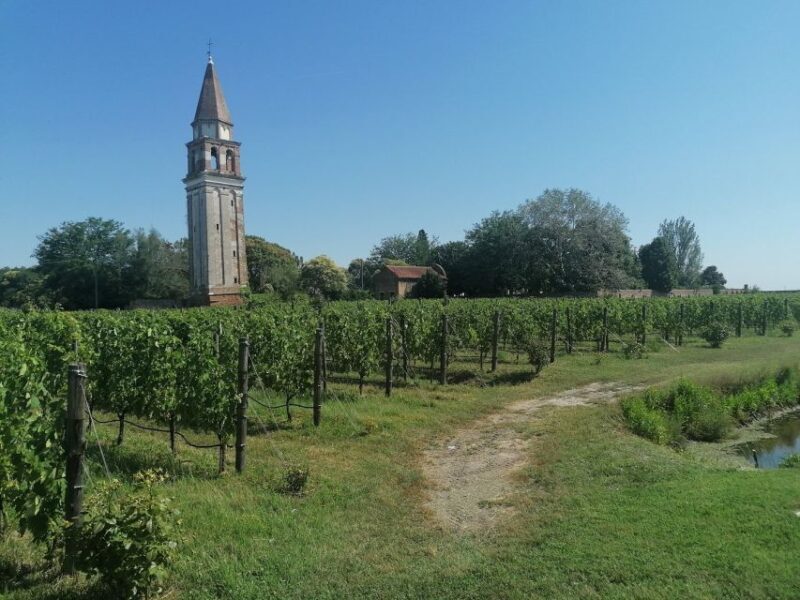 The gems of the lagoon. Torcello Burano Murano - FAQ
