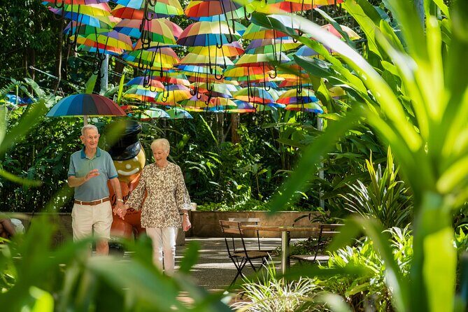 The Ginger Factory Play, Taste & Discover Bundle Experience - What Is The Ginger Factory Play, Taste & Discover Bundle?