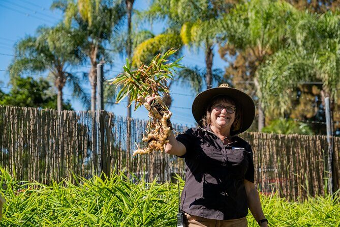 The Ginger Factory Play, Taste & Discover Bundle Experience - FAQ