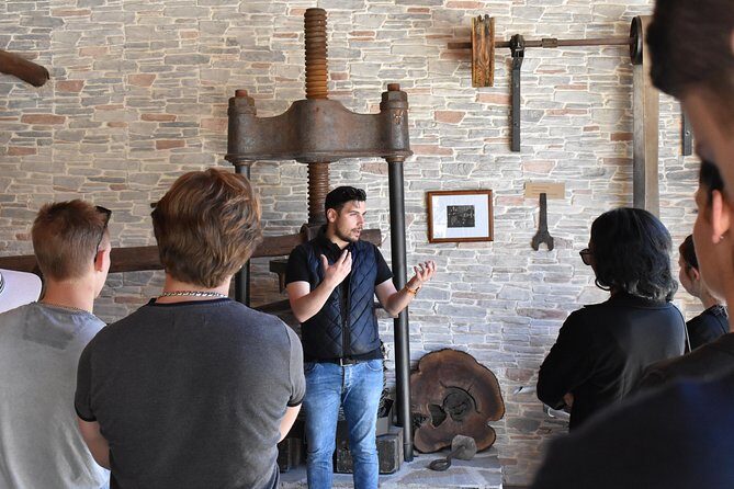 The Governor's Olive Mill Tour with Olive Oil Tasting - The Experience Through Reviewers’ Eyes