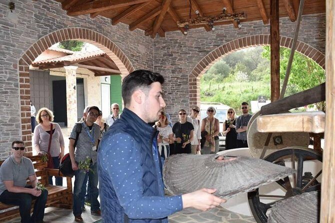 The Governor's Olive Mill Tour with Olive Oil Tasting - Practical Tips for Your Visit
