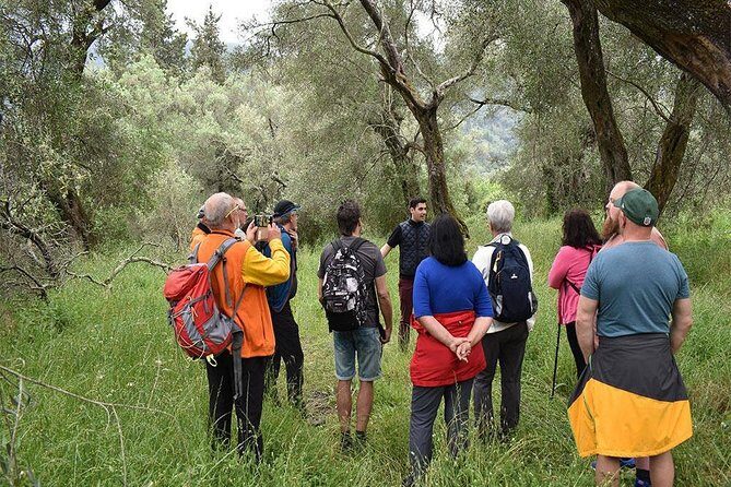 The Governor's Olive Mill Tour with Olive Oil Tasting - Who Would Love This Tour?