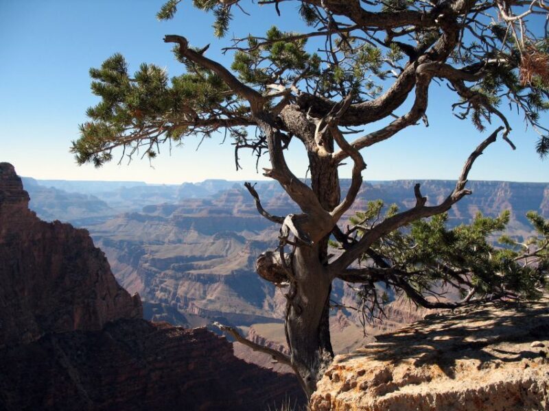 The Grand Canyon Classic Tour From Sedona, AZ - Transportation and Group Size
