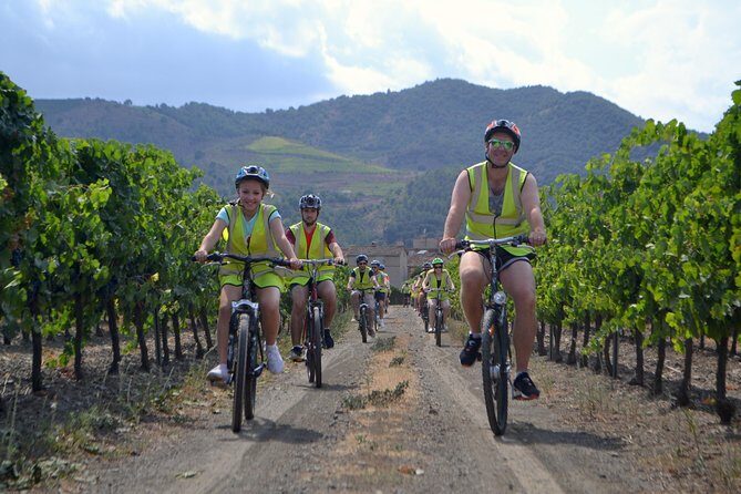 The Grape Escape! Cycling in Beautiful Scenery with Wine Tasting - Who Will Love This Tour?