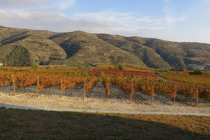 The Grape Escape: Troodos Mountains thru Wine Small Group Tour 6hrs - FAQ