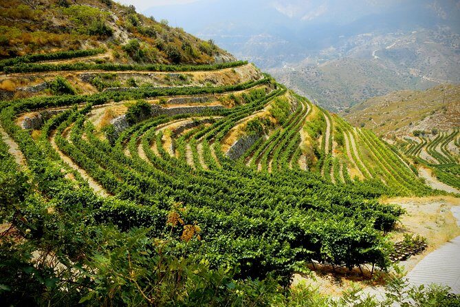 The Grape Escape: Troodos Mountains thru Wine Small Group Tour 7hrs - Breaking down the itinerary: what you’ll see and do