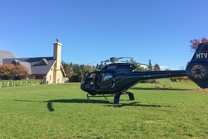 The Grape Vine - The Practical Side: Booking, Price, and Conditions