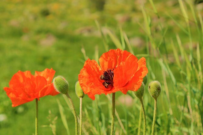 The Great Beauty of Armenia: 7-Day Culture and Cuisine Tour - Final Thoughts