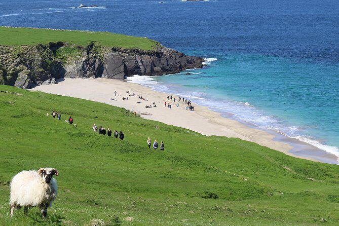 The Great Blasket Island Experience - Premium Tour - The Value and Who It’s Best For