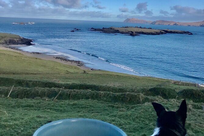 The Great Blasket Island Experience - Premium Tour - FAQ