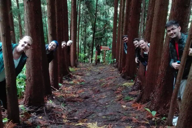 The Great waterfalls Hiking tour - Lunch: Authentic Azorean Cuisine