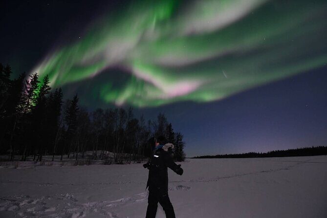 The Greatest Valuable Aurora Manor & Hunting Tour --Exclusive Tour Operator - Introduction: What This Tour Offers