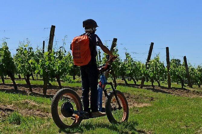 The greedy Rando Trotter of Theo - What to Expect During the Tour