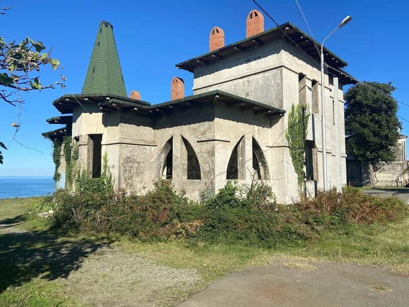 The Green Gold of Georgia - Key Points