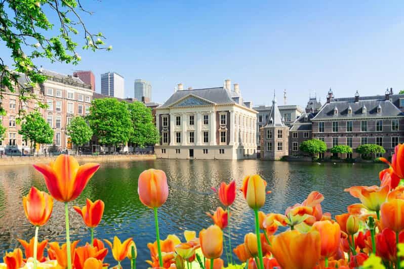 The Hague: Insta-Perfect Walk with a Local - Who Will Love This Tour?