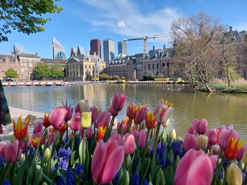 The Hague Private City Tour with an Architect - Authentic Insights from Reviews