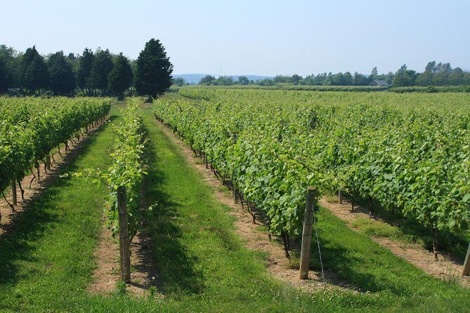 The Hamptons and Long Island Wineries Private Tour - Final Thoughts