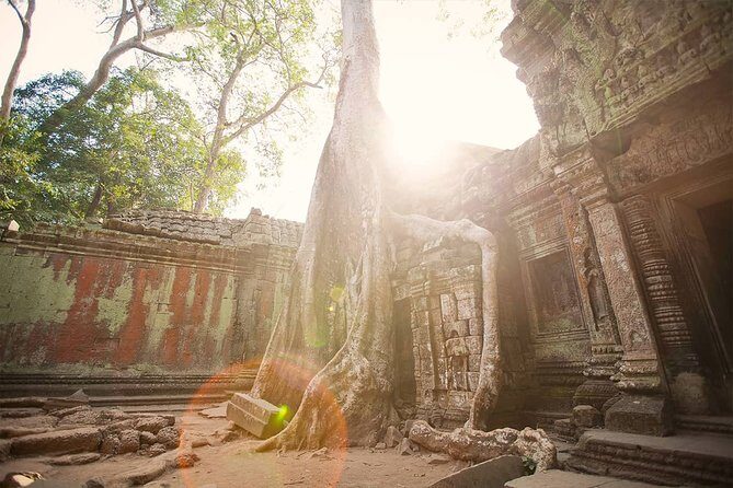 The Heart of Angkor: A 4-Day Private Temple Journey - Final Thoughts