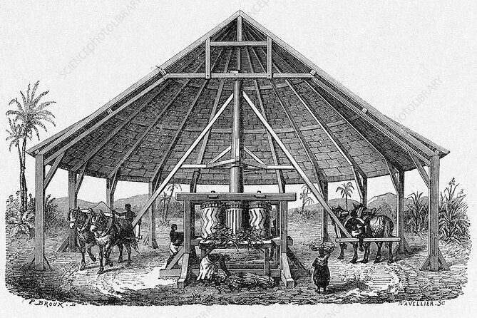The History of Slavery in Louisiana Tour - FAQ