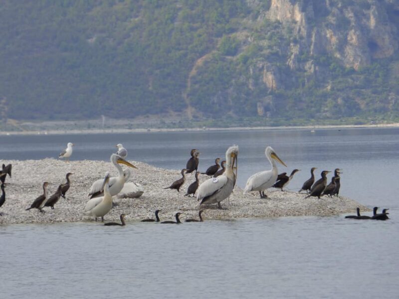 The Island of the Snakes - Golem Grad - An Introduction to Golem Grad and Lake Prespa