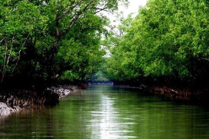 The Jungle Book Trip (The Sundorbon Forest of Bangladesh) - Unpacking the Itinerary: What to Expect