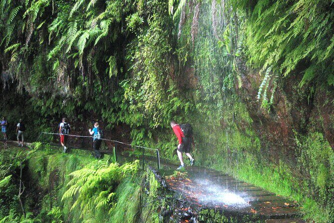 The King's Levada - Levada do Rei - Key Points