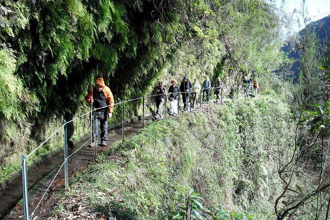 The King's Levada - Levada do Rei - The Value of This Experience