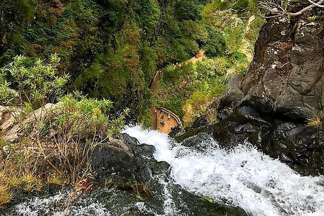 The Lakes Walk - Who Should Consider This Tour?