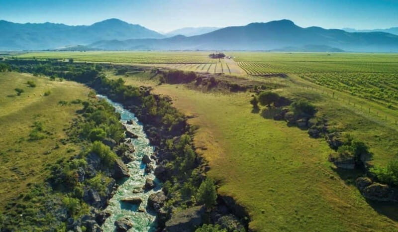 The largest winery in Montenegro: private tour & transport - In-Depth Look at the Winery Tour
