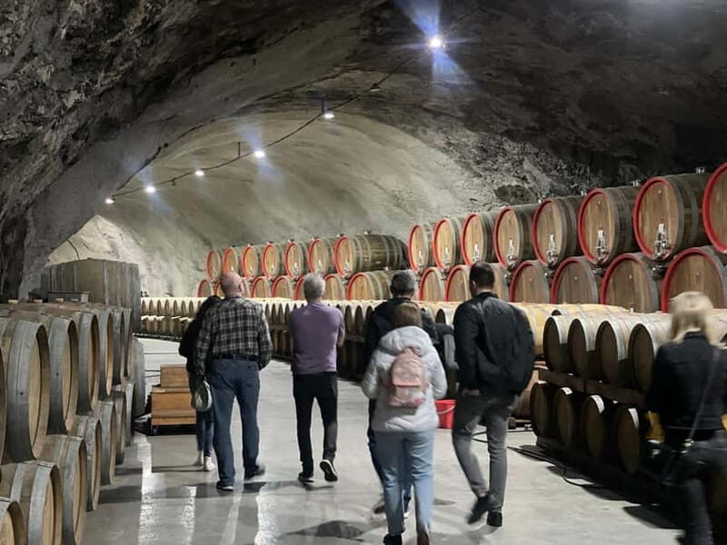 The largest winery in Montenegro: private tour & transport - The Sum Up