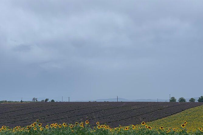 The Lavender tour from marseille or aix en provence - FAQ