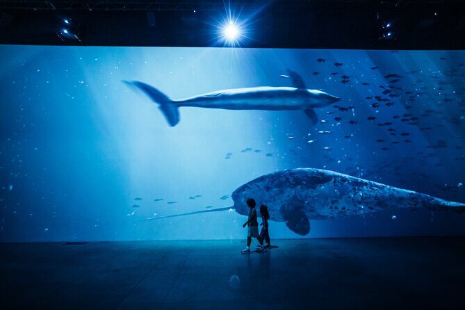 The Legend of the Titanic Immersive Exhibition in Zurich - FAQ