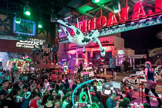 The little cow - Frequently Asked Questions