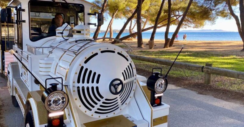 The Little Train of La Londe-les-Maures - An In-Depth Look at the Little Train Experience