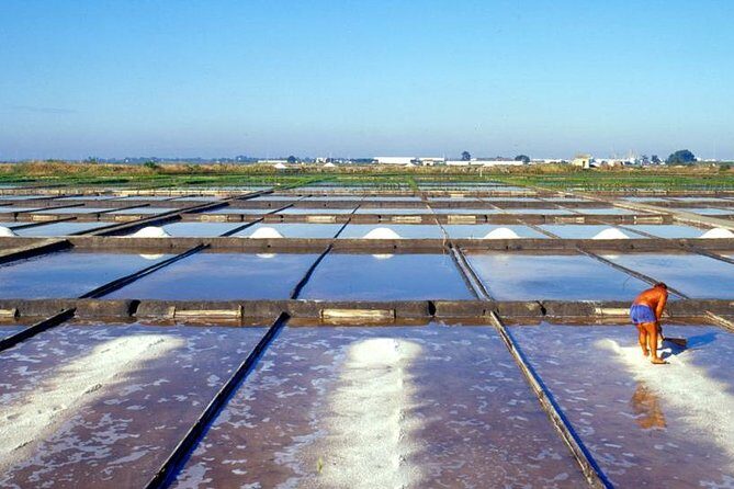 The Little Venice of Portugal: Aveiro Small Group Tour with Typical Boat Ride - What Makes This Tour Stand Out?