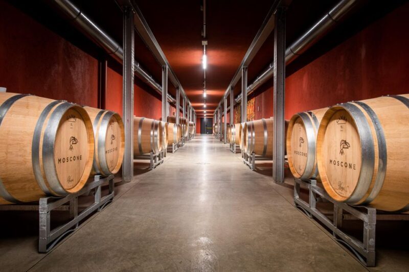 The Madama: Wine tasting in La Morra - An In-Depth Look at the Madama Wine Tasting Tour