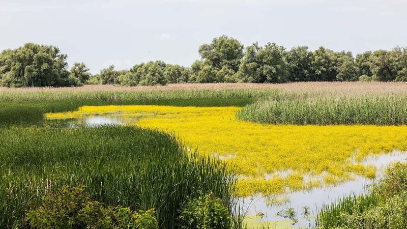 The Magic of Transylvania and the Danube Delta: 8 Days - The Sum Up