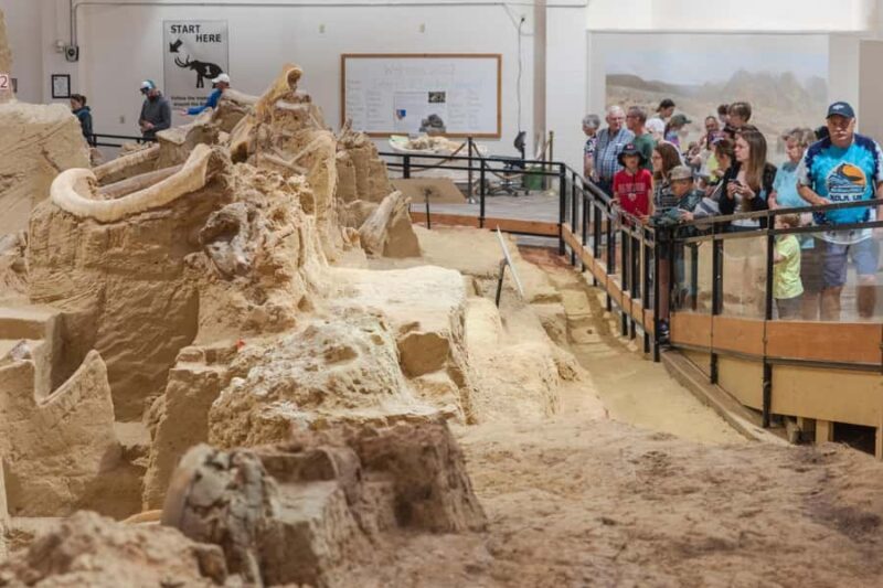 The Mammoth Site of Hot Springs General Admission Ticket - What Is The Mammoth Site of Hot Springs?