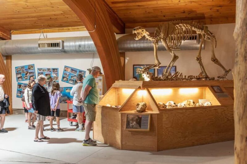 The Mammoth Site of Hot Springs General Admission Ticket - What To Expect During Your Visit