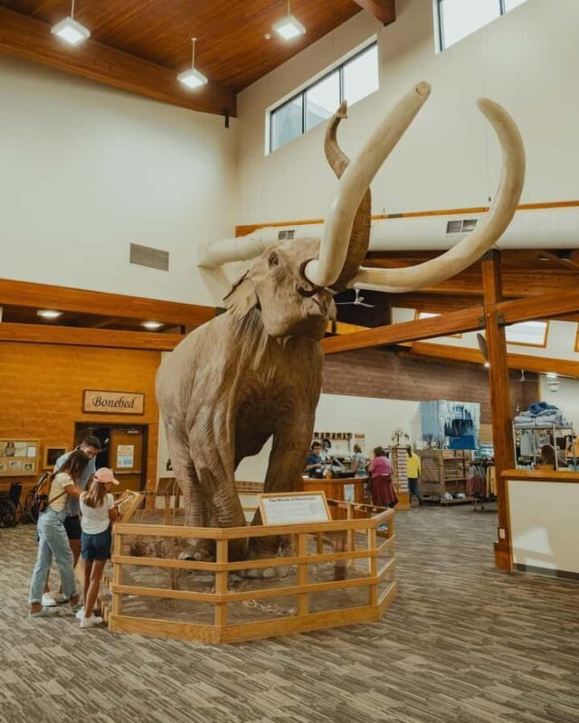 The Mammoth Site of Hot Springs General Admission Ticket - The Price and Its Value