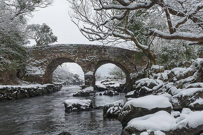 The Meeting of the Waters, Dinis Island, Lakes of Killarney (Minimum 6 people) - Itinerary Breakdown: What to Expect