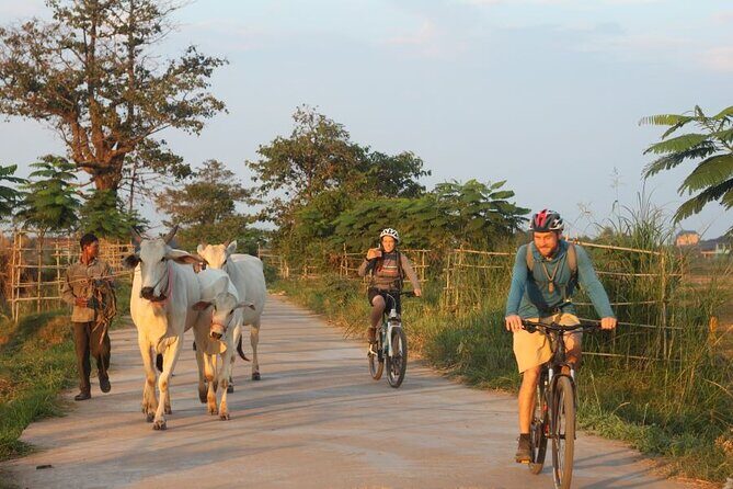 The Mekong Island Biking Tour and Lunch with farmers - Key Points